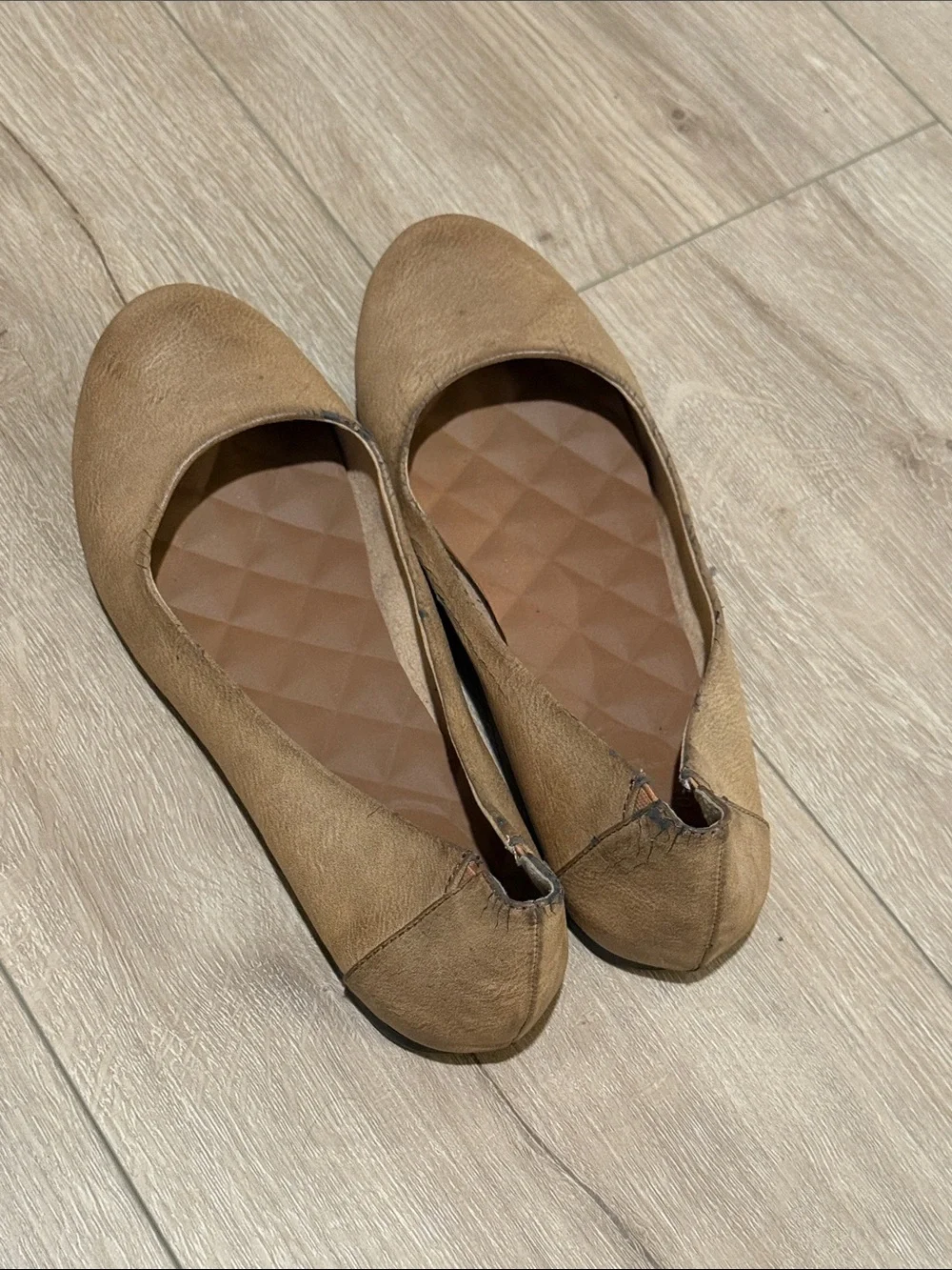 Jellypop Women's Brown/Tan Ballet Flats